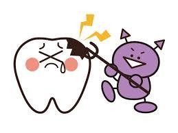 むし歯の原因菌について
